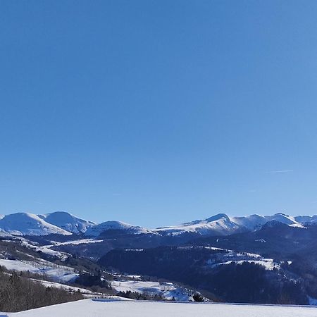 Grand Appartement Vue Magnifique Murat-le-Quaire Buitenkant foto